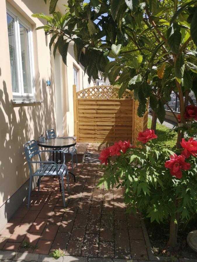 Terrasse Wohnungen Mit Parking In Zentrum Apartment