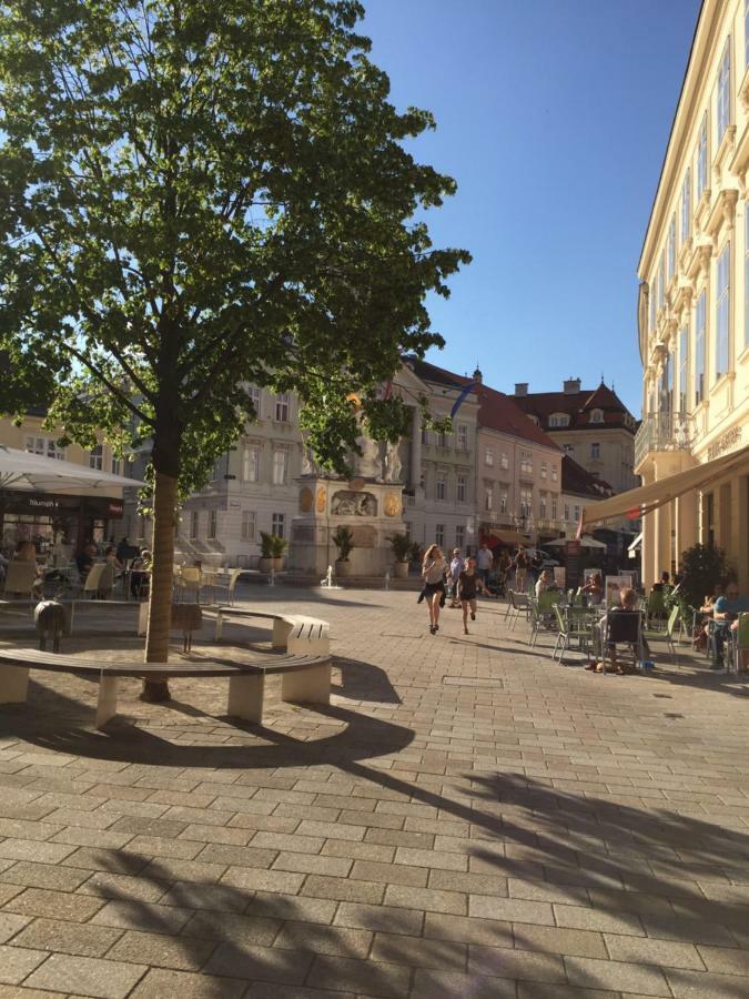 Terrasse Wohnungen Mit Parking In Zentrum Apartment