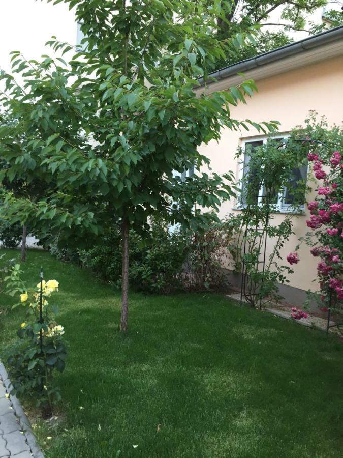Terrasse Wohnungen Mit Parking In Zentrum Apartment Baden