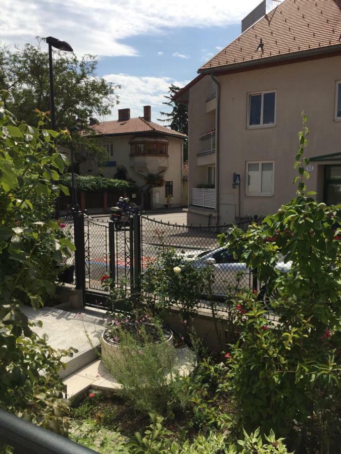 Apartment Terrasse Wohnungen Mit Parking In Zentrum Baden