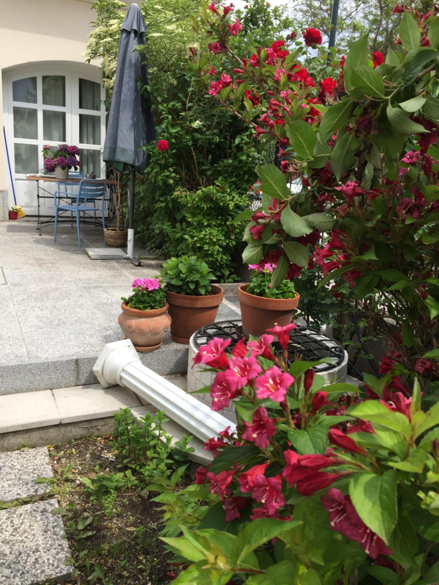 Apartment Terrasse Wohnungen Mit Parking In Zentrum Baden