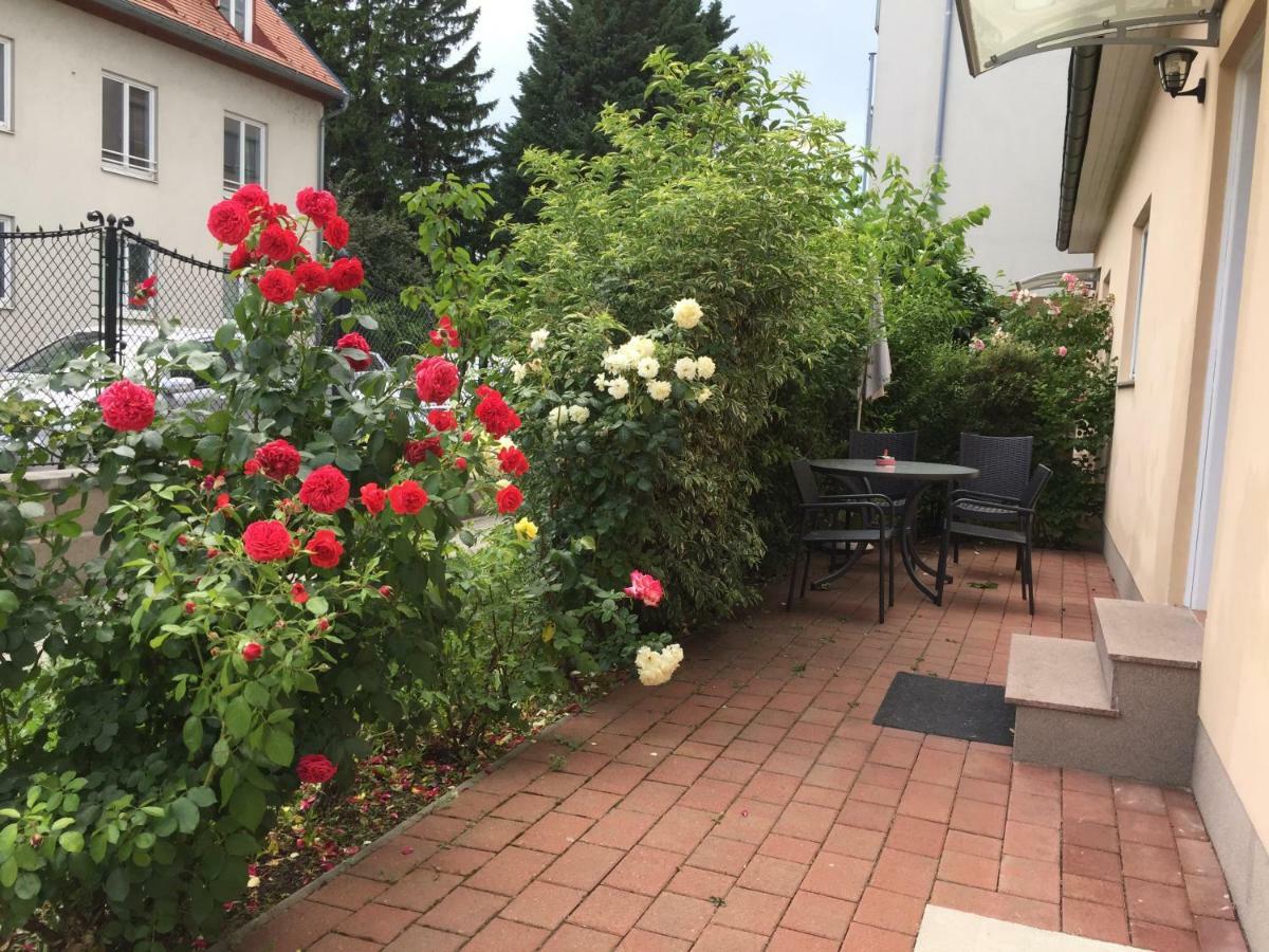 Terrasse Wohnungen Mit Parking In Zentrum *